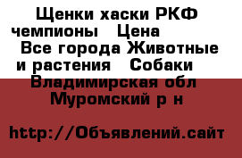 Щенки хаски РКФ чемпионы › Цена ­ 90 000 - Все города Животные и растения » Собаки   . Владимирская обл.,Муромский р-н